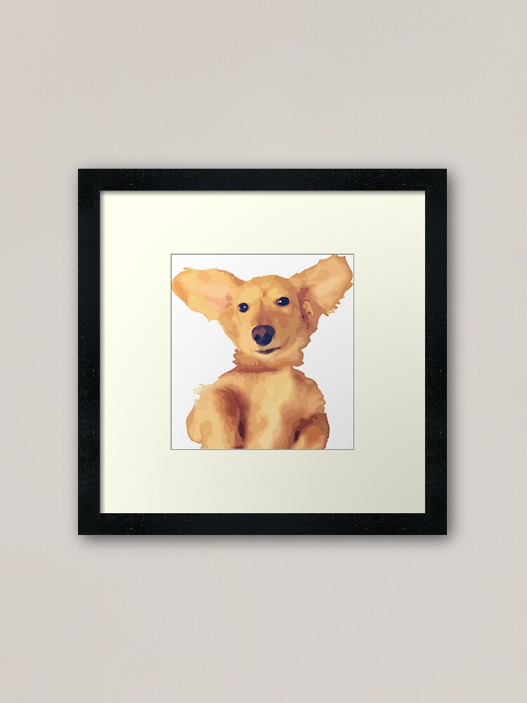 Bentley The Long Haired English Cream Dachshund Framed Art Print