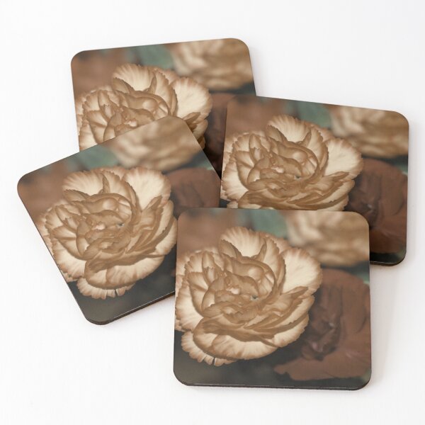 Item preview, Brown Beige Carnation Flower in Full Bloom designed and sold by JariHawk.