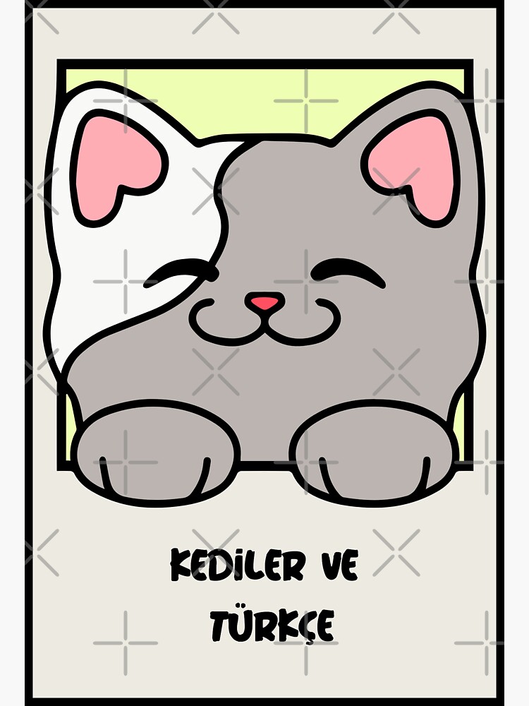 "Kediler ve Türkçe cats and Turkish" Sticker for Sale by