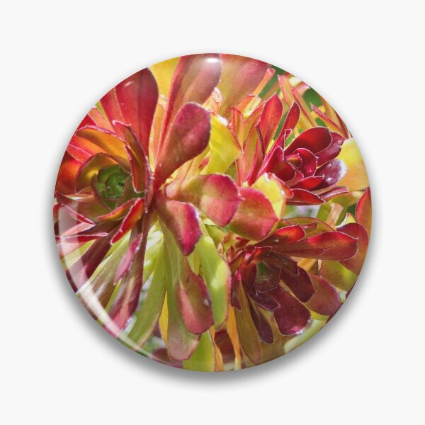 Item preview, Superb red-tipped succulent, Melbourne Botanic Garden designed and sold by FranWest.