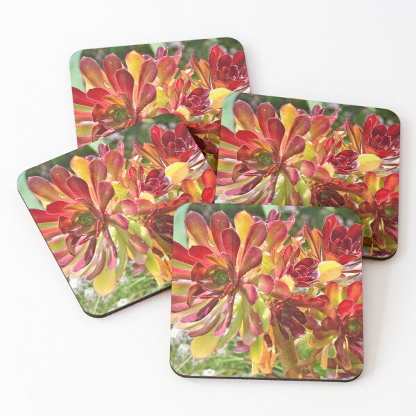 Item preview, Superb red-tipped succulent, Melbourne Botanic Garden designed and sold by FranWest.