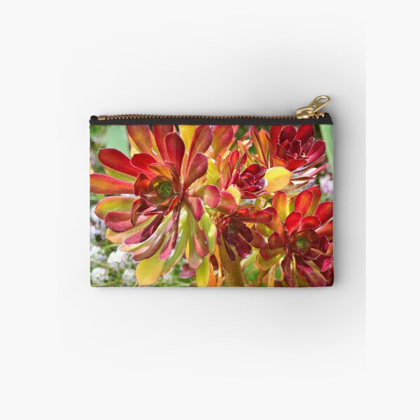 Item preview, Superb red-tipped succulent, Melbourne Botanic Garden designed and sold by FranWest.