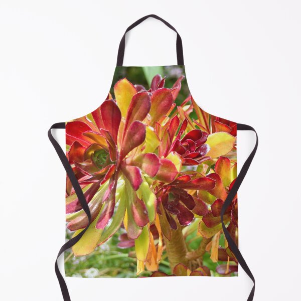 Item preview, Superb red-tipped succulent, Melbourne Botanic Garden designed and sold by FranWest.