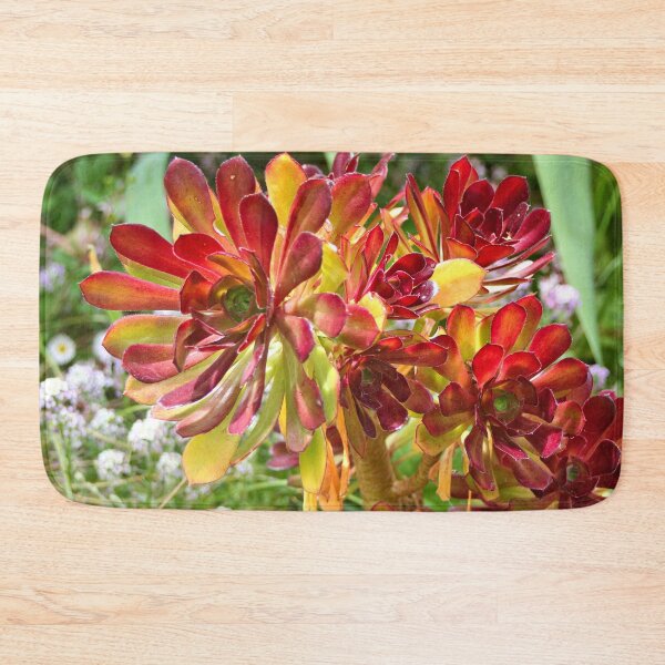 Item preview, Superb red-tipped succulent, Melbourne Botanic Garden designed and sold by FranWest.