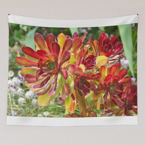 Item preview, Superb red-tipped succulent, Melbourne Botanic Garden designed and sold by FranWest.
