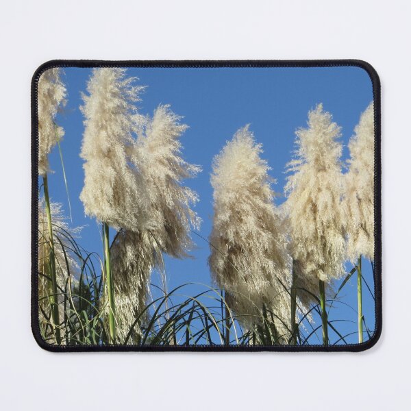 Item preview, Pampas Grass Display designed and sold by Honey Myrtle Studio.
