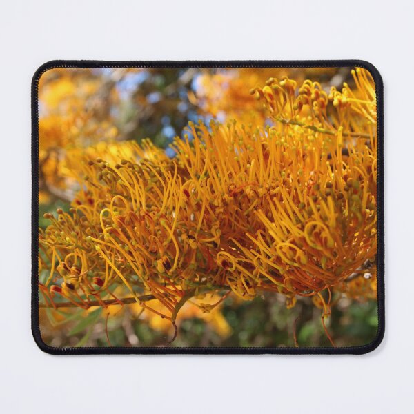 Item preview, Autumn Colour designed and sold by Honey Myrtle Studio.