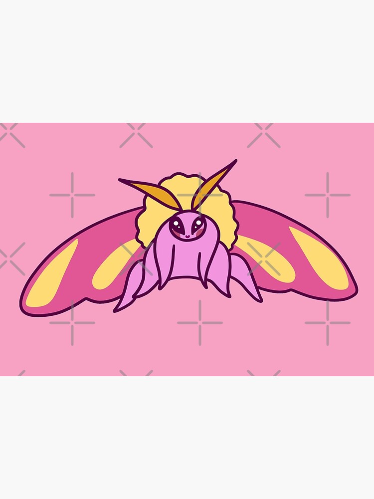 Rosy Maple Moth Art Board Print for Sale by ensdraws