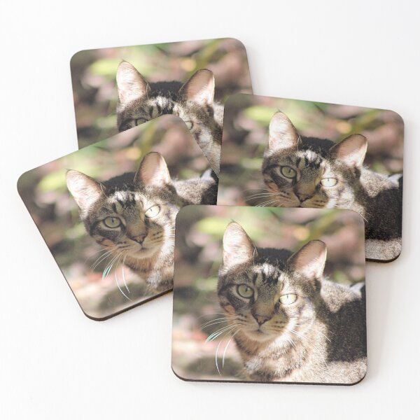 Item preview, FERAL CAT 1 designed and sold by BOLLA67.