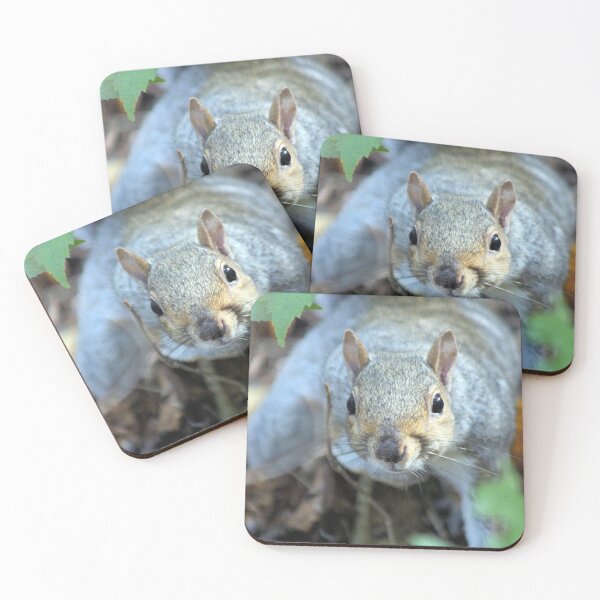 Item preview, FACE TO FACE designed and sold by BOLLA67.