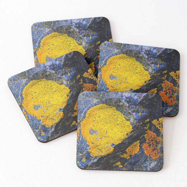 Item preview, Nature's Gold designed and sold by jenstever.