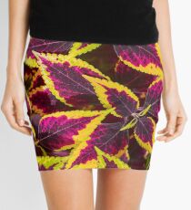 Coleus or Painted Nettle Mini Skirt