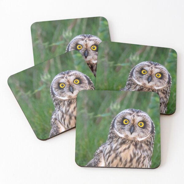 Item preview, what you looking at designed and sold by tammy mellor.
