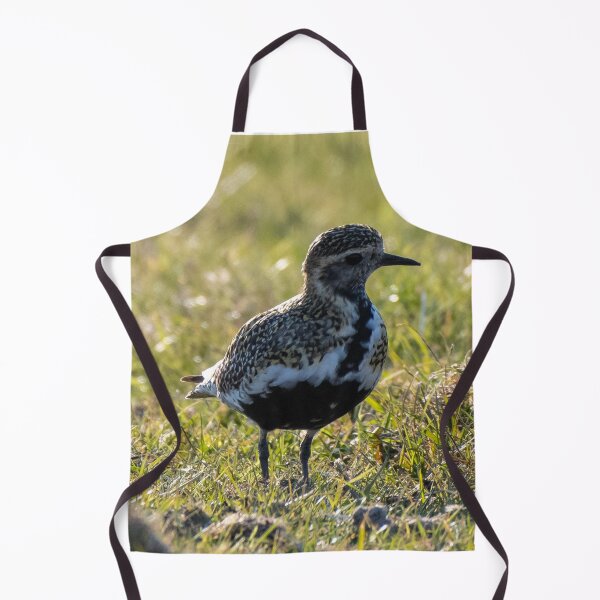 Item preview, golden plover designed and sold by tammy mellor.