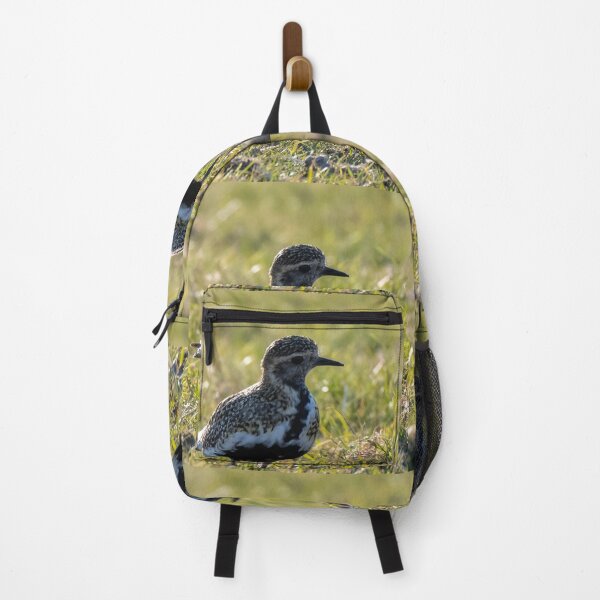 Item preview, golden plover designed and sold by tammy mellor.