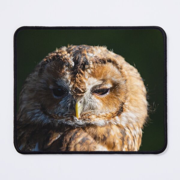 Item preview, Tawny Owl, Strix aluco designed and sold by Graham Prentice.