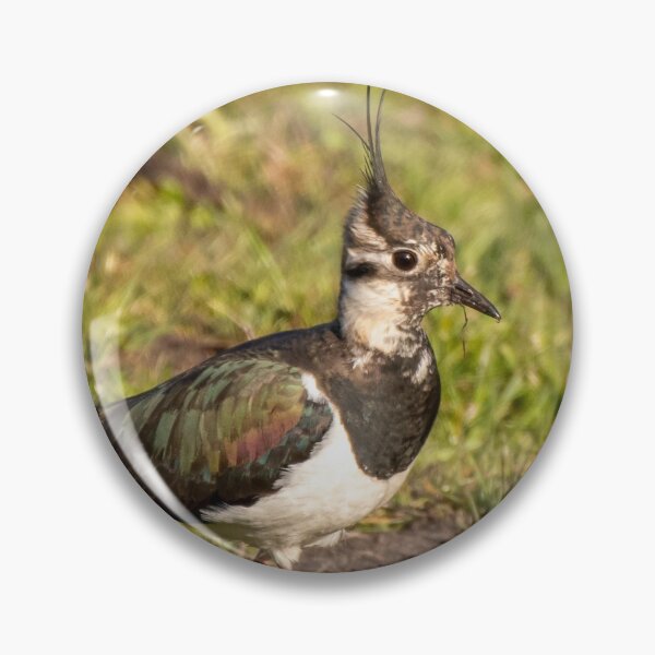 Item preview, lapwing designed and sold by tammy mellor.