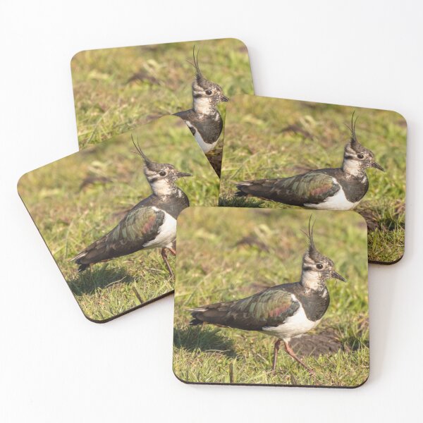 Item preview, lapwing designed and sold by tammy mellor.