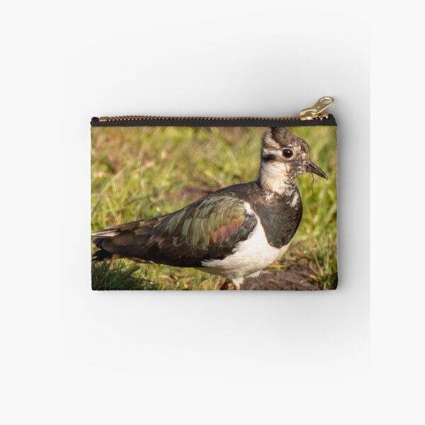 Item preview, lapwing designed and sold by tammy mellor.