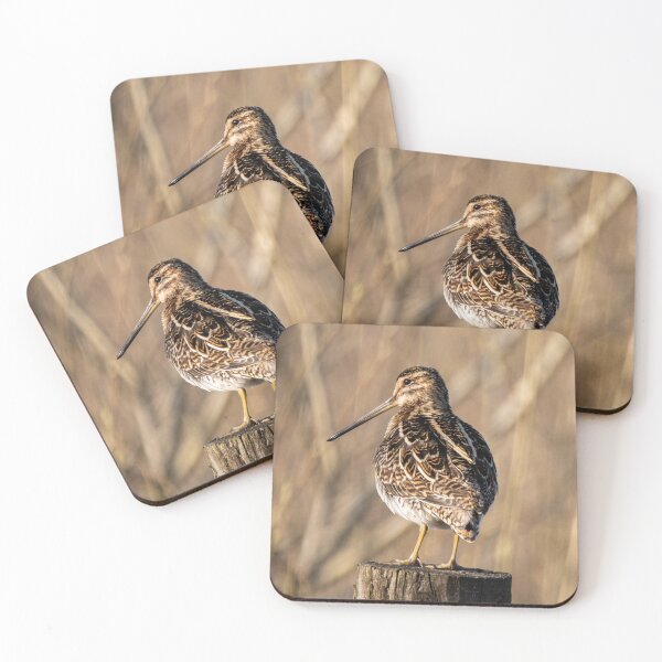 Item preview, snipe in the sun designed and sold by tammy mellor.