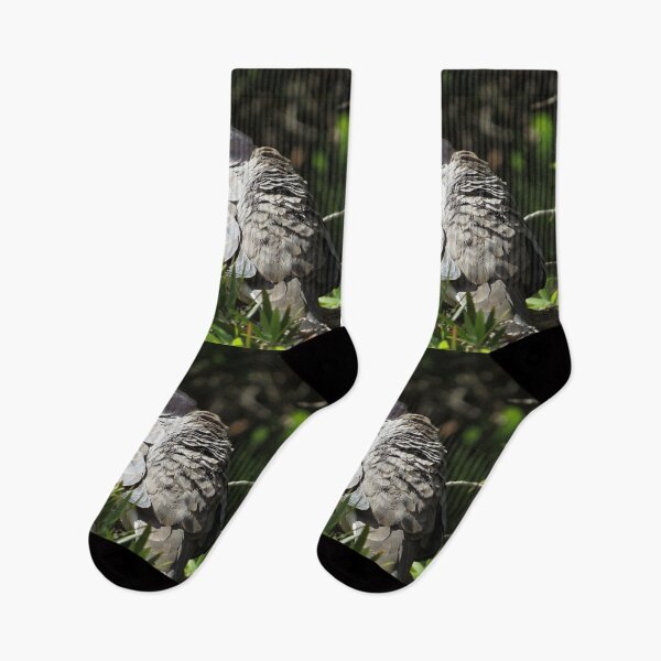 Item preview, Spotted Grey Dove designed and sold by Honey Myrtle Studio.