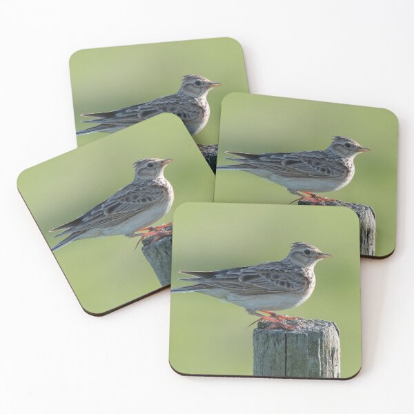 Item preview, skylark designed and sold by tammy mellor.