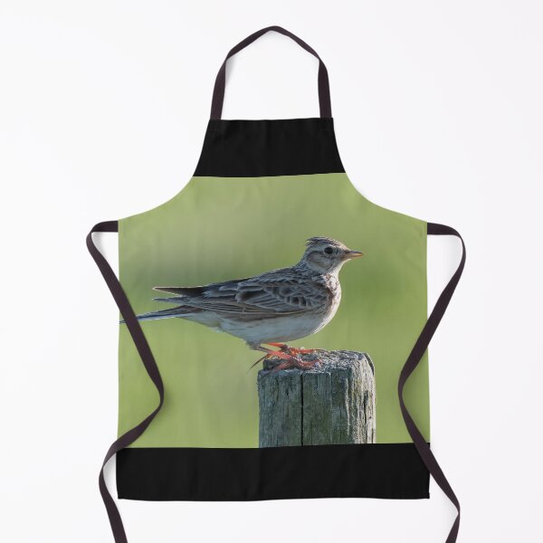 Item preview, skylark designed and sold by tammy mellor.
