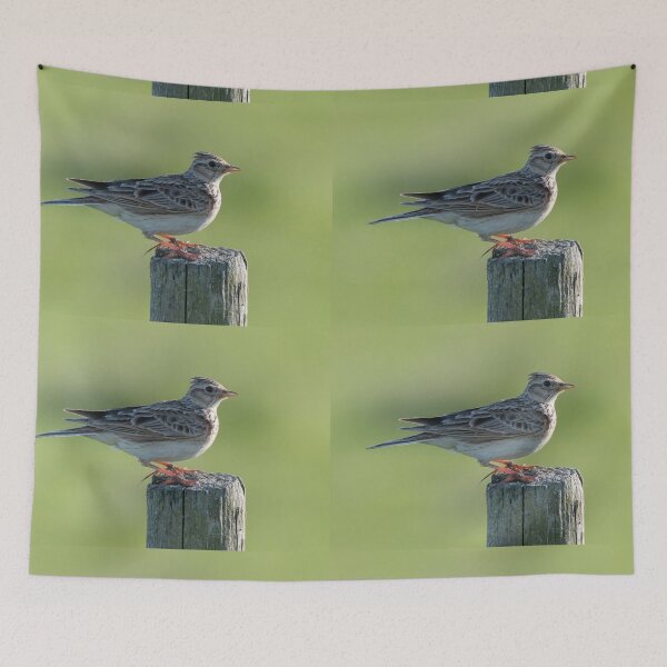 Item preview, skylark designed and sold by tammy mellor.