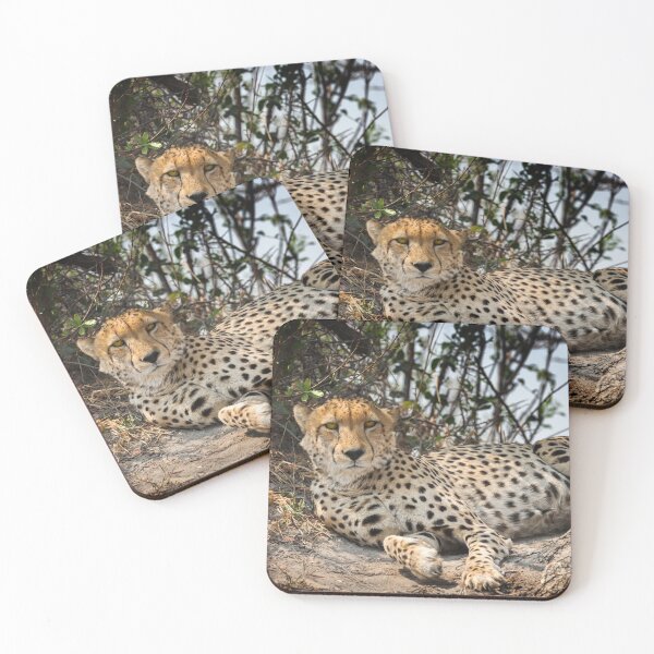 Item preview, Alert Cheetah designed and sold by Graham Prentice.
