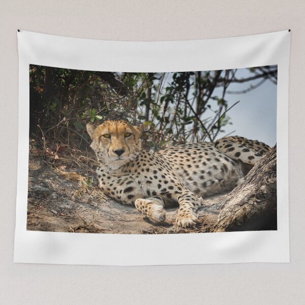 Item preview, Alert Cheetah designed and sold by Graham Prentice.