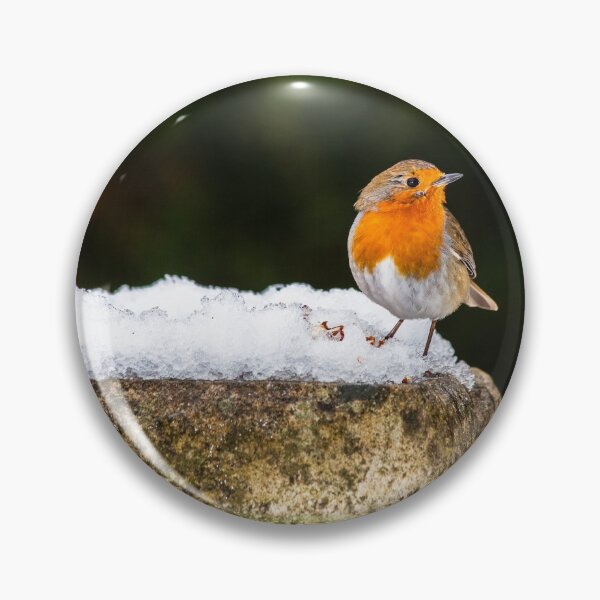 Item preview, Robin on Snowy Birdbath designed and sold by Graham Prentice.