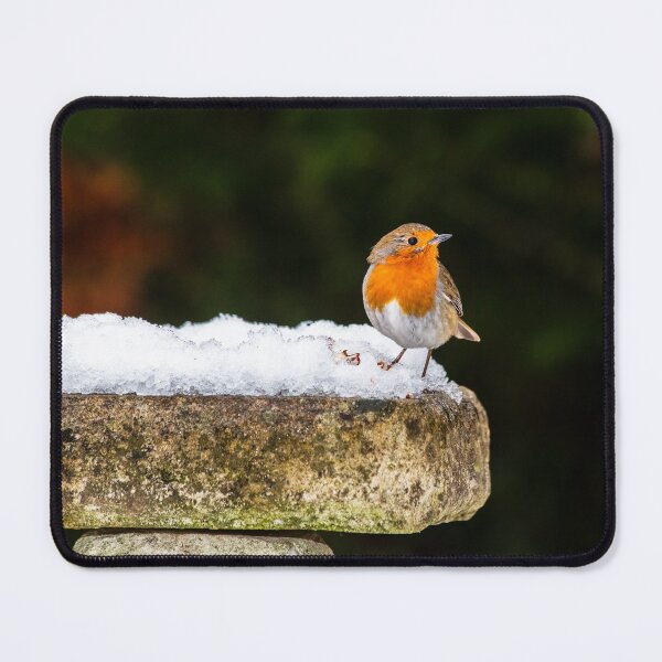 Item preview, Robin on Snowy Birdbath designed and sold by Graham Prentice.