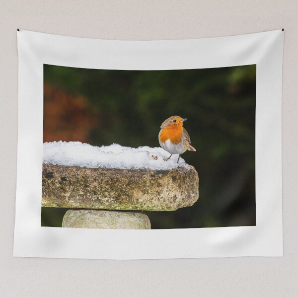 Item preview, Robin on Snowy Birdbath designed and sold by Graham Prentice.