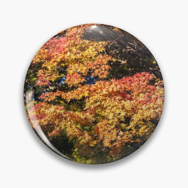 Item preview, Maples in Glorious Autumn Colour designed and sold by Graham Prentice.