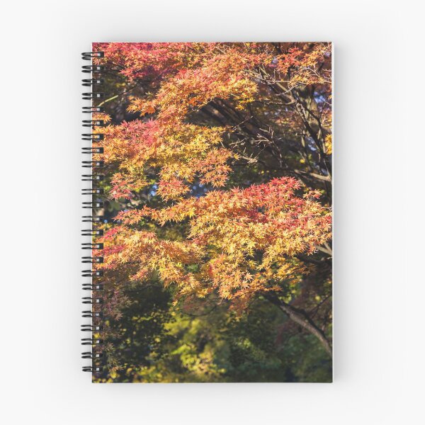 Item preview, Maples in Glorious Autumn Colour designed and sold by Graham Prentice.