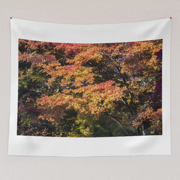 Item preview, Maples in Glorious Autumn Colour designed and sold by Graham Prentice.