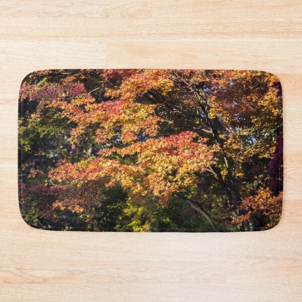 Item preview, Maples in Glorious Autumn Colour designed and sold by Graham Prentice.