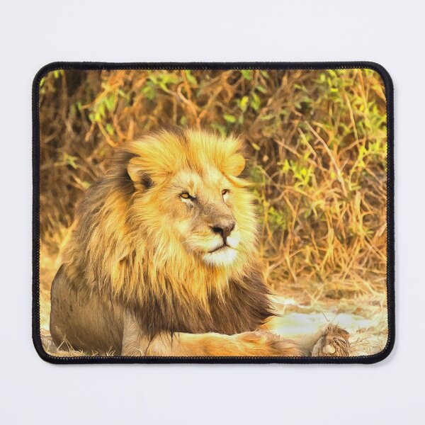 Item preview, Magnificent Lion at Rest designed and sold by Graham Prentice.