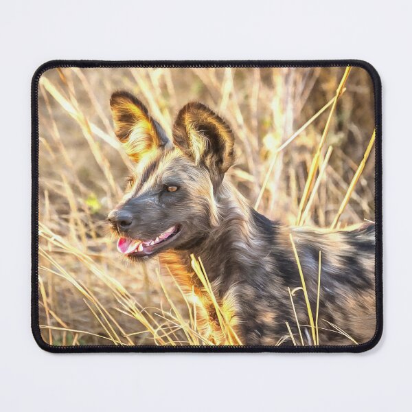 Item preview, Alert African Wild Dog designed and sold by Graham Prentice.