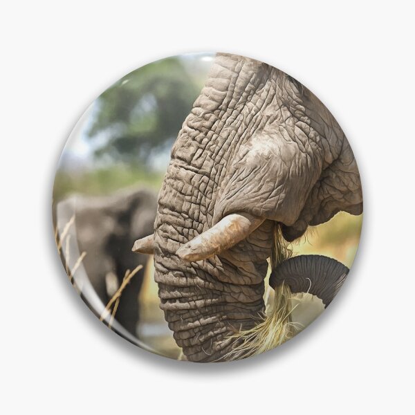 Item preview, Elephant Eating Grass designed and sold by Graham Prentice.