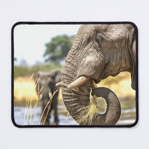 Item preview, Elephant Eating Grass designed and sold by Graham Prentice.