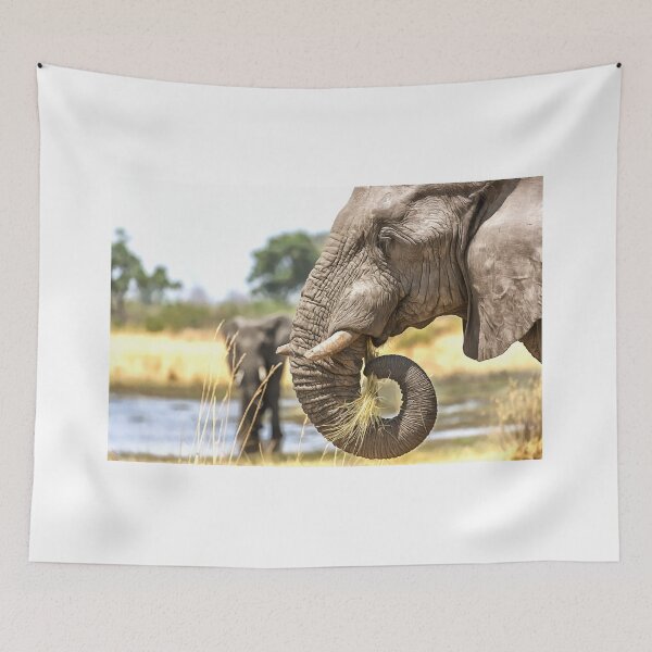 Item preview, Elephant Eating Grass designed and sold by Graham Prentice.