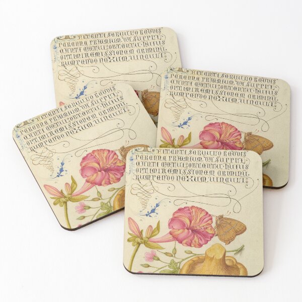 Item preview, Naturalist Manuscript: Insect, Flowers, Mushroom, and Calligraphy Illumination by Joris Hoefnagel designed and sold by Naturalist Prints.