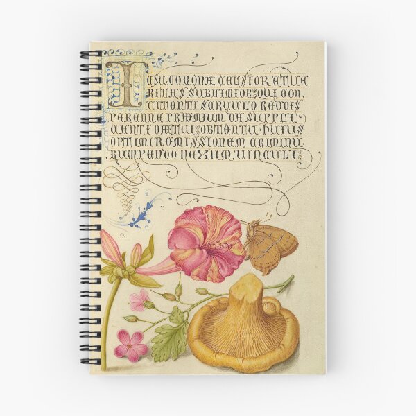 Item preview, Naturalist Manuscript: Insect, Flowers, Mushroom, and Calligraphy Illumination by Joris Hoefnagel designed and sold by Naturalist Prints.