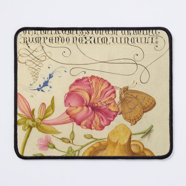 Item preview, Naturalist Manuscript: Insect, Flowers, Mushroom, and Calligraphy Illumination by Joris Hoefnagel designed and sold by Naturalist Prints.