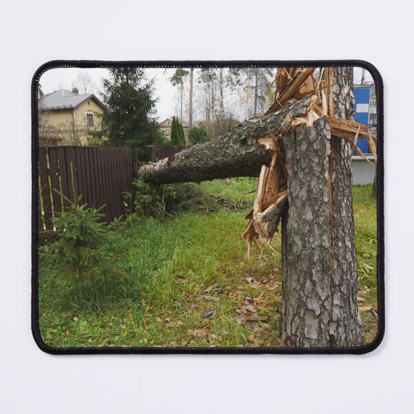 Item preview, broken tree designed and sold by mrivserg.