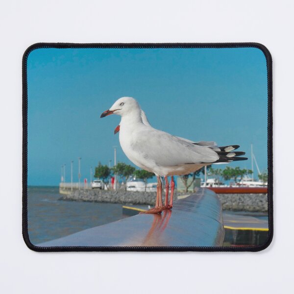 Item preview, Seagull standing  designed and sold by MichaelE2706.