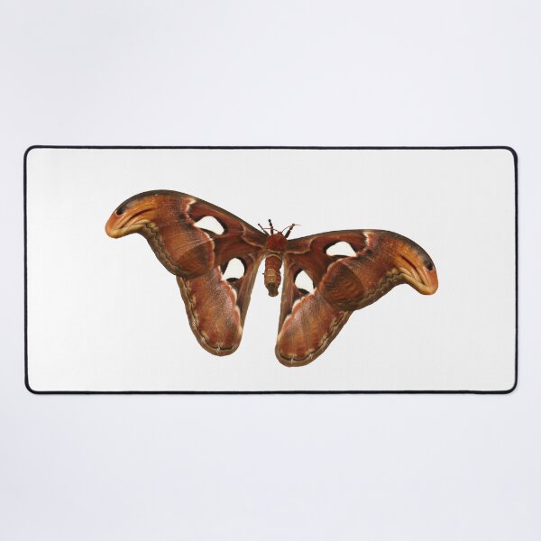 Atlas Moth Desk Mat
