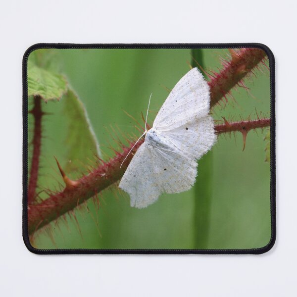 Item preview, Almost Perfect designed and sold by cuprum.