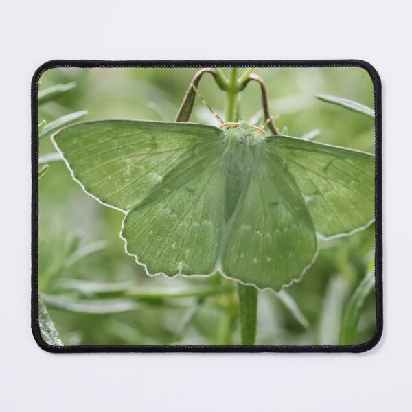 Item preview, A Happy Encounter designed and sold by cuprum.